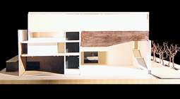 Model section