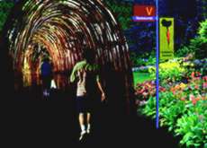 Local passageways